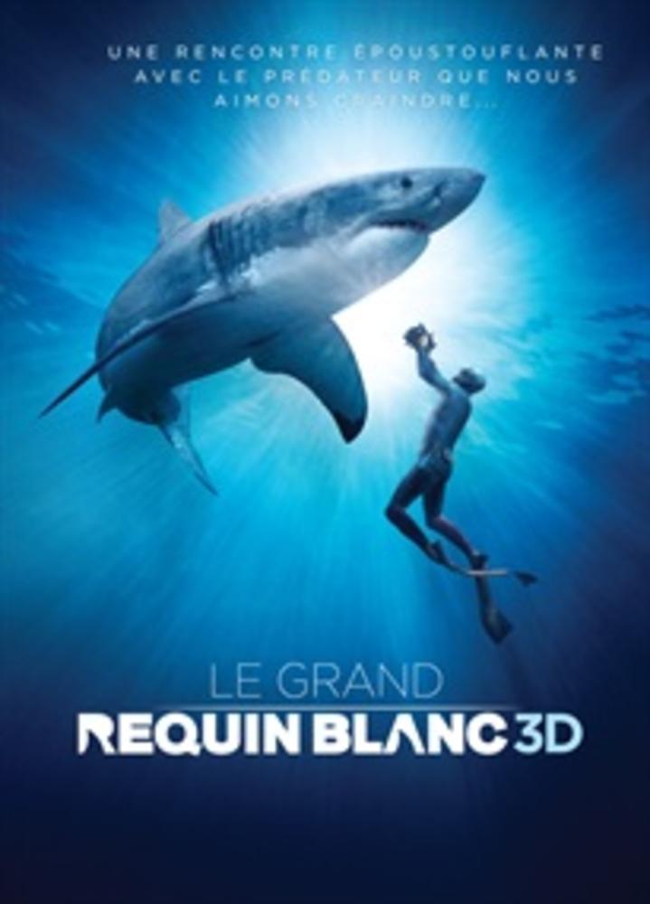 grand requin blanc