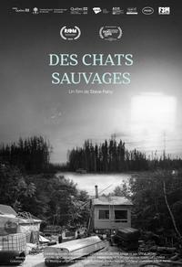 Des chats sauvages