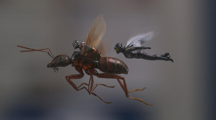 Sorties à la maison : Ant-Man and The Wasp