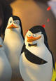 Les pingouins de Madagascar auront leur propre long métrage