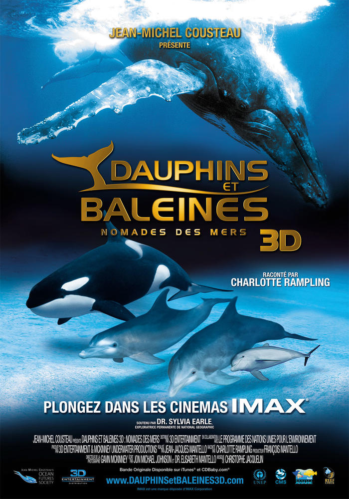 Poster de la vie des animaux sous l'océan, dauphins - 12851